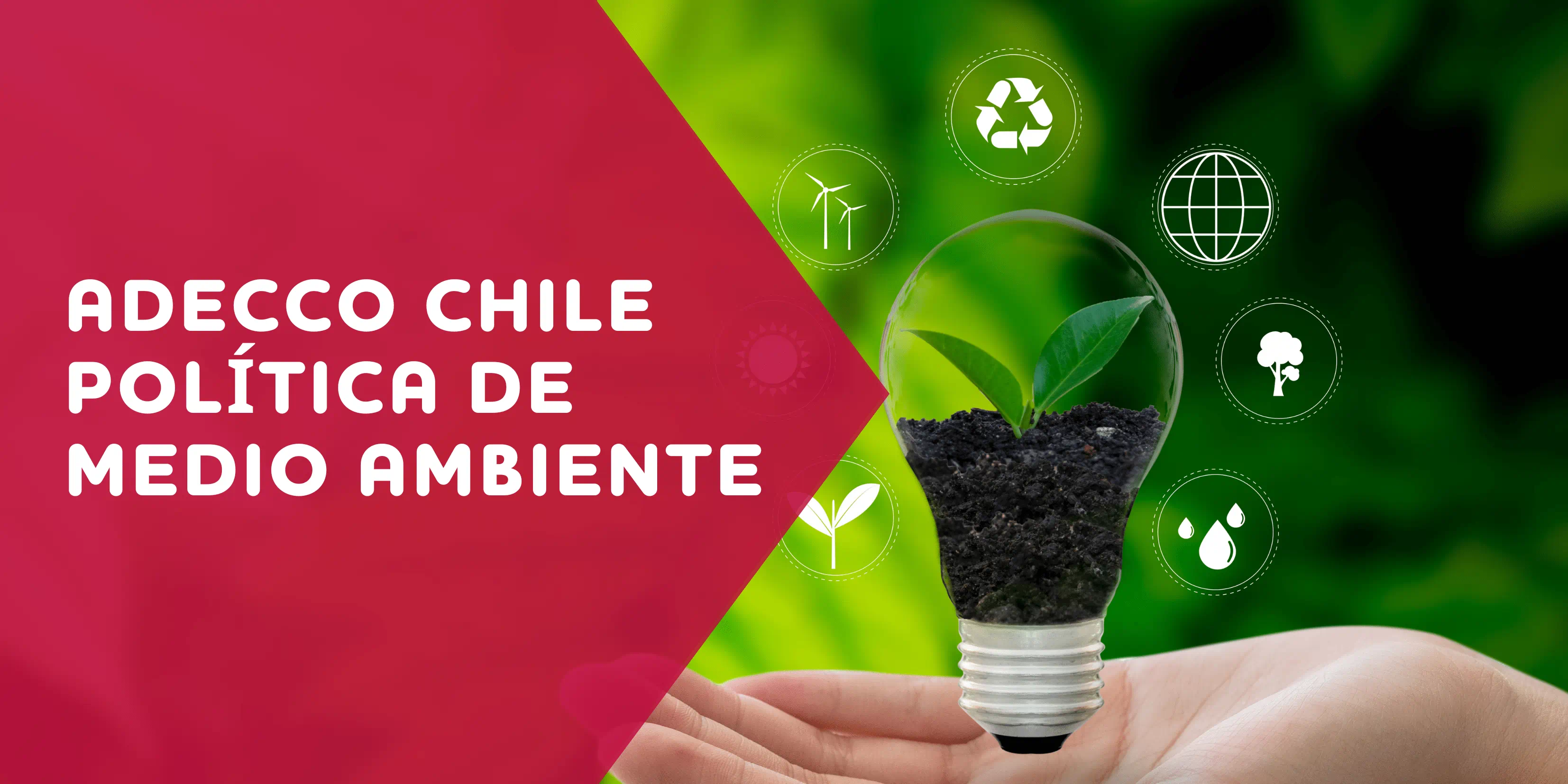 Adecco Chile politica de medio ambiente