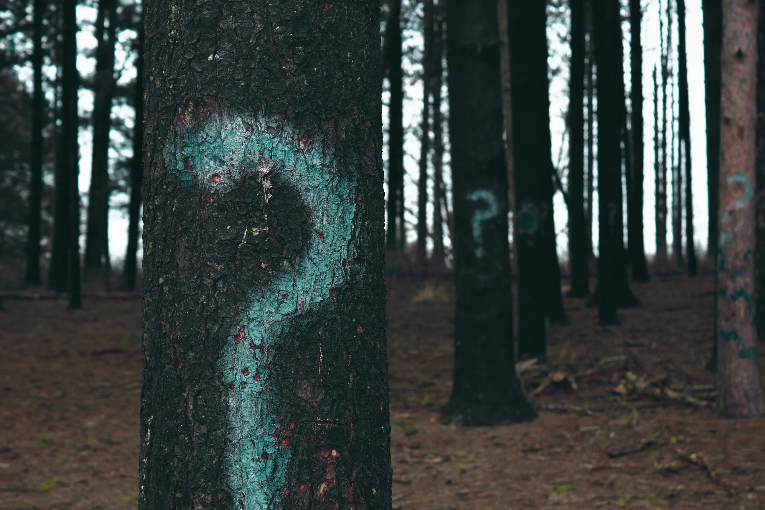evan-dennis-i-IN3cvEjg-unsplash-scaled