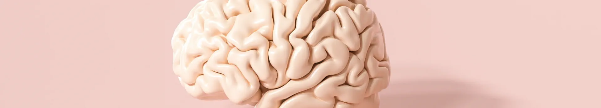 brain-1920-x-345-px