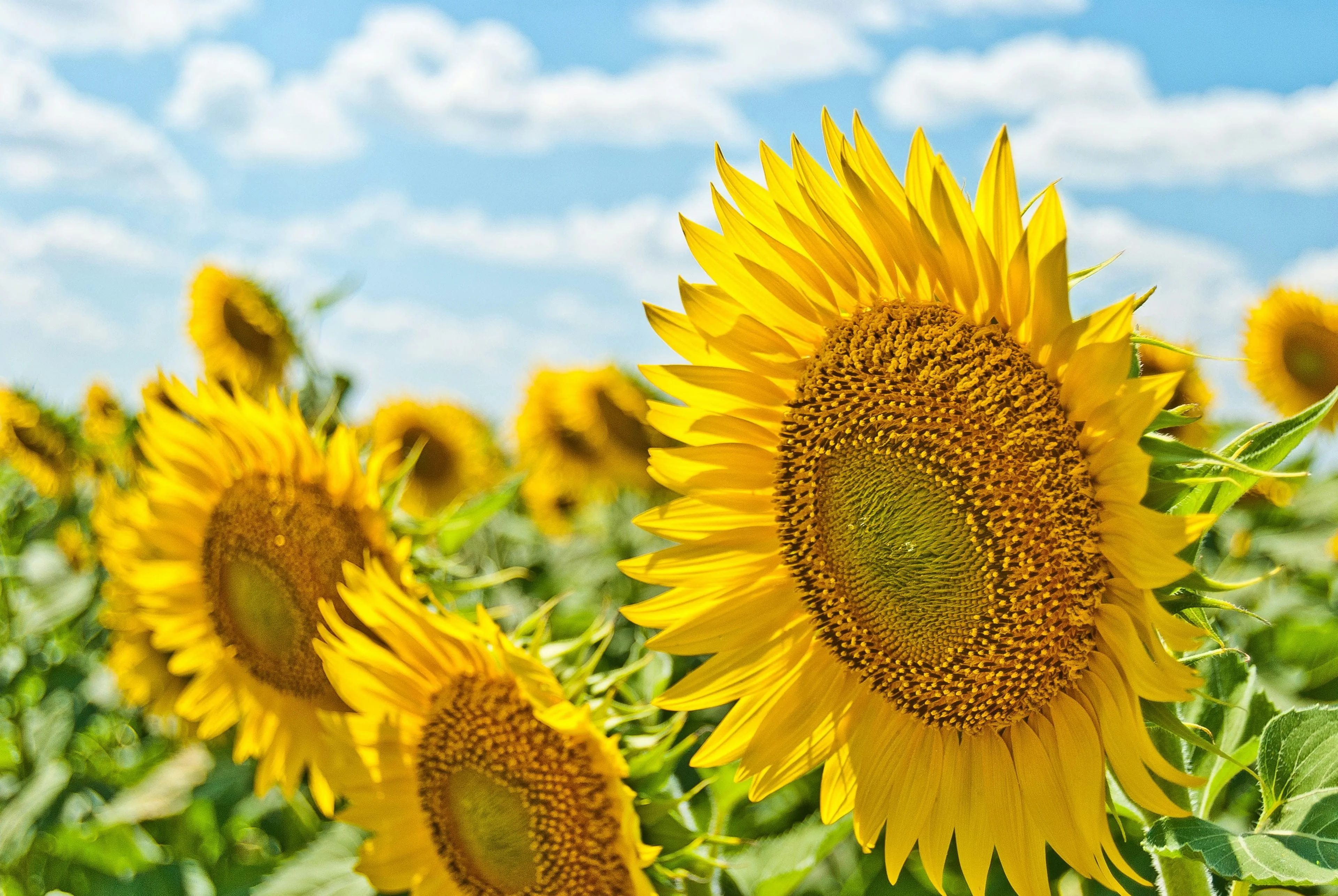 7-tips-for-effektiv-sommarplanering