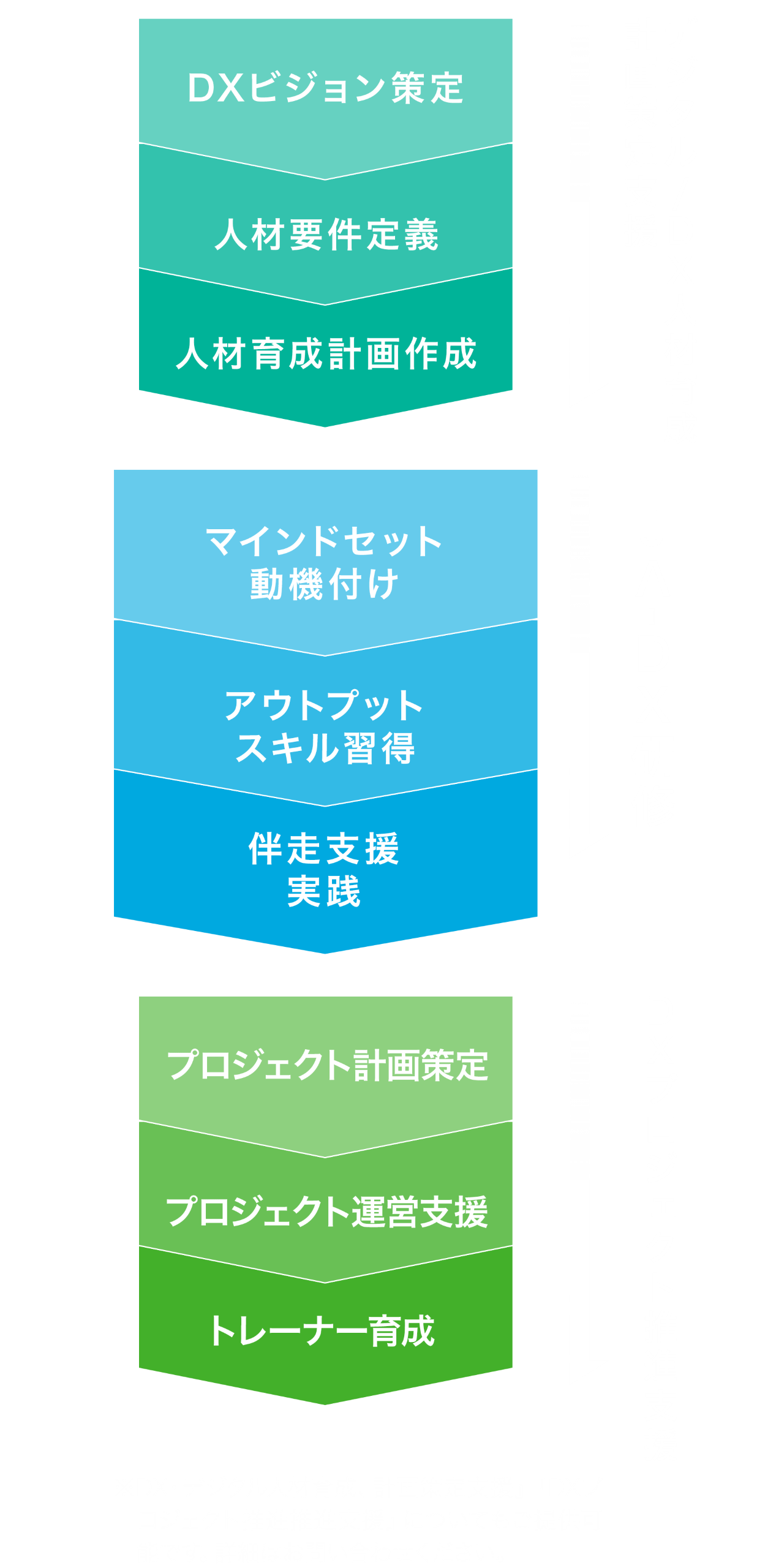 デジタル/DX人材育成支援
              プロセス図