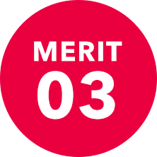Merit 03