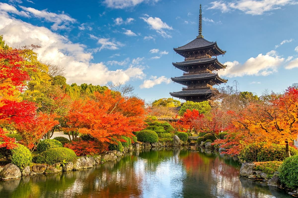 日本の秋とは？季節の特徴や秋の楽しみ方・過ごし方をわかりやすく紹介
