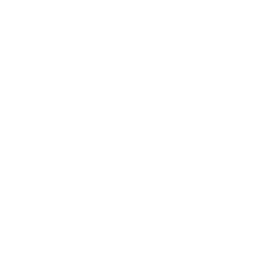 Icon Weltkugel