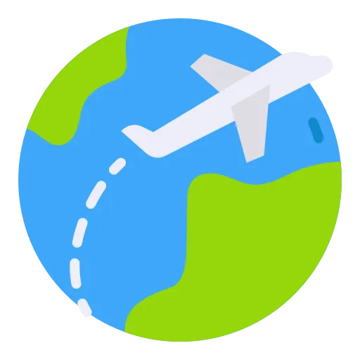Icon Flug