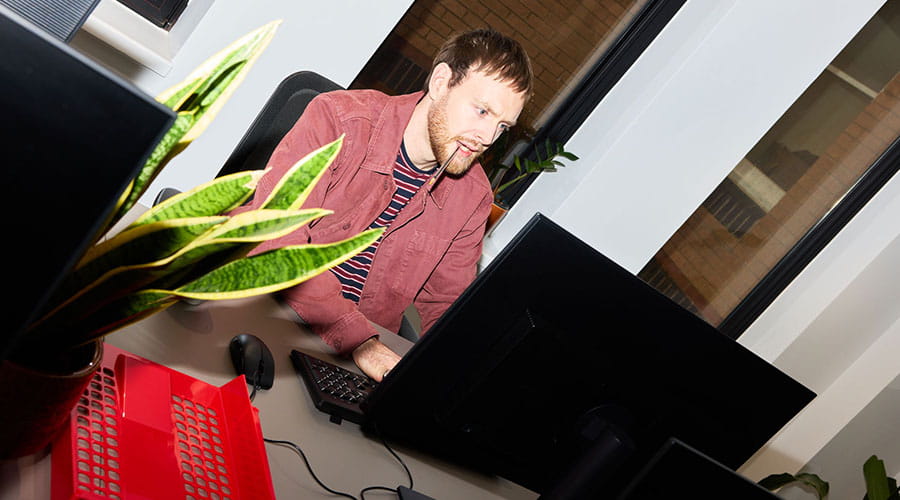 Man working at computer with plant on desk in office Man working at computer with plant on desk in office