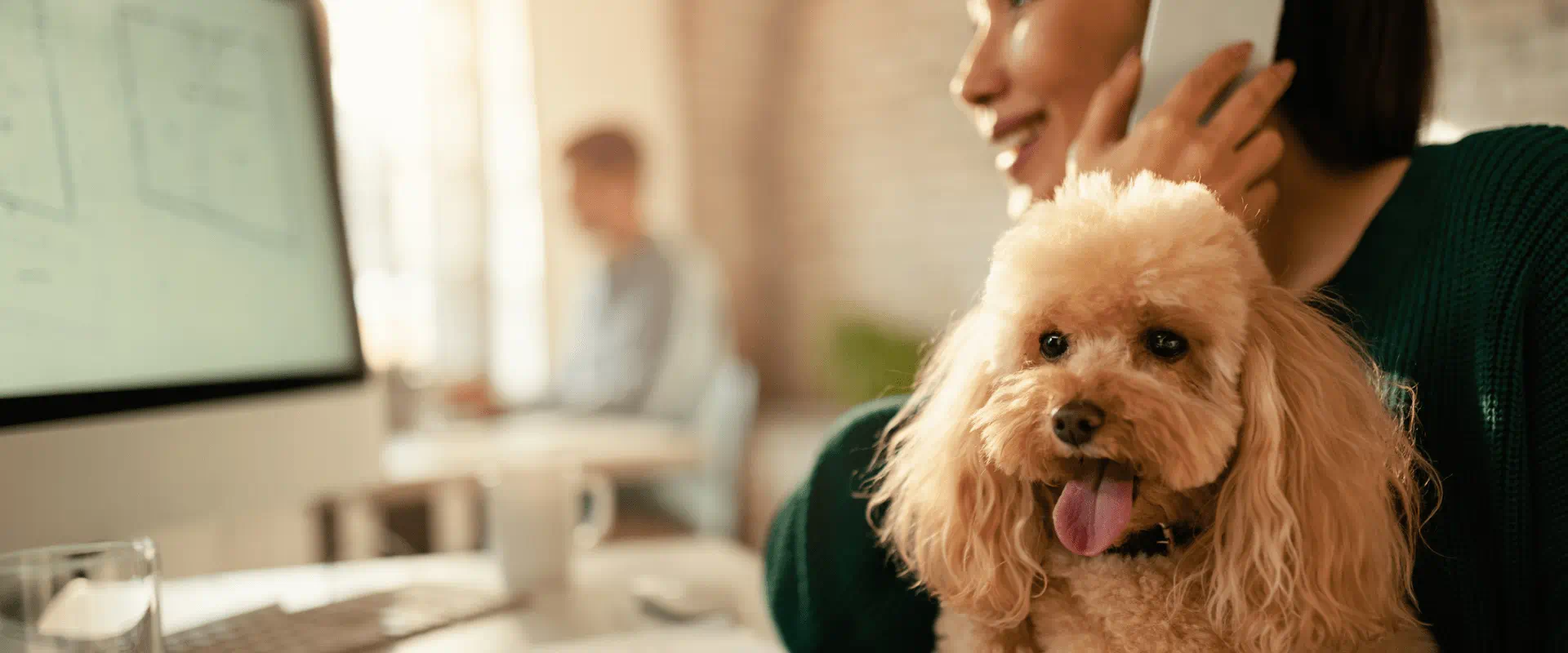 A dog sits on a worker's lap at their desk, in the middle of an office.