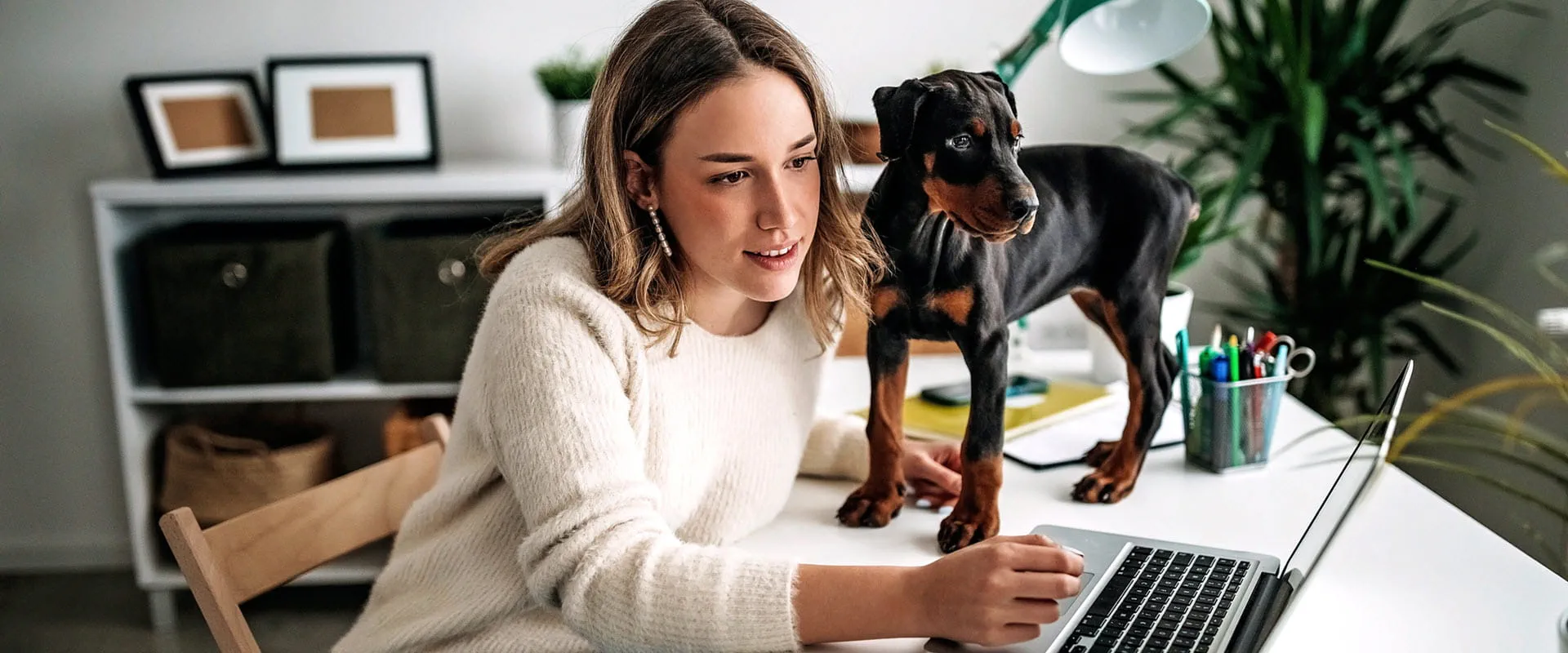 A person working from home, sitting at a desk with a laptop, while a small black and tan puppy stands beside them.