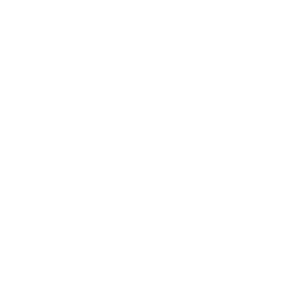 Left arrow white